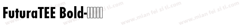 FuturaTEE Bold字体转换